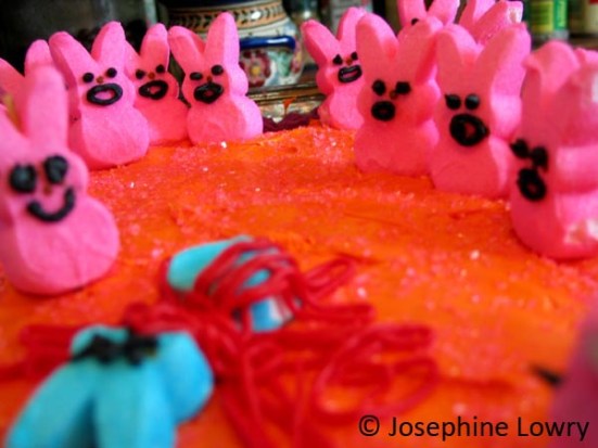 A burst of bold color is a welcome sight on Easter's pastel color pallete A burst of bold color is a welcome sight on Easter's pastel color pallete